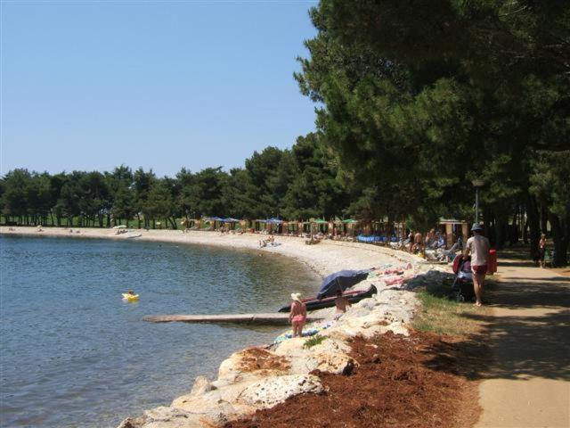 Apartman Oliver Novigrad Istria Buitenkant foto