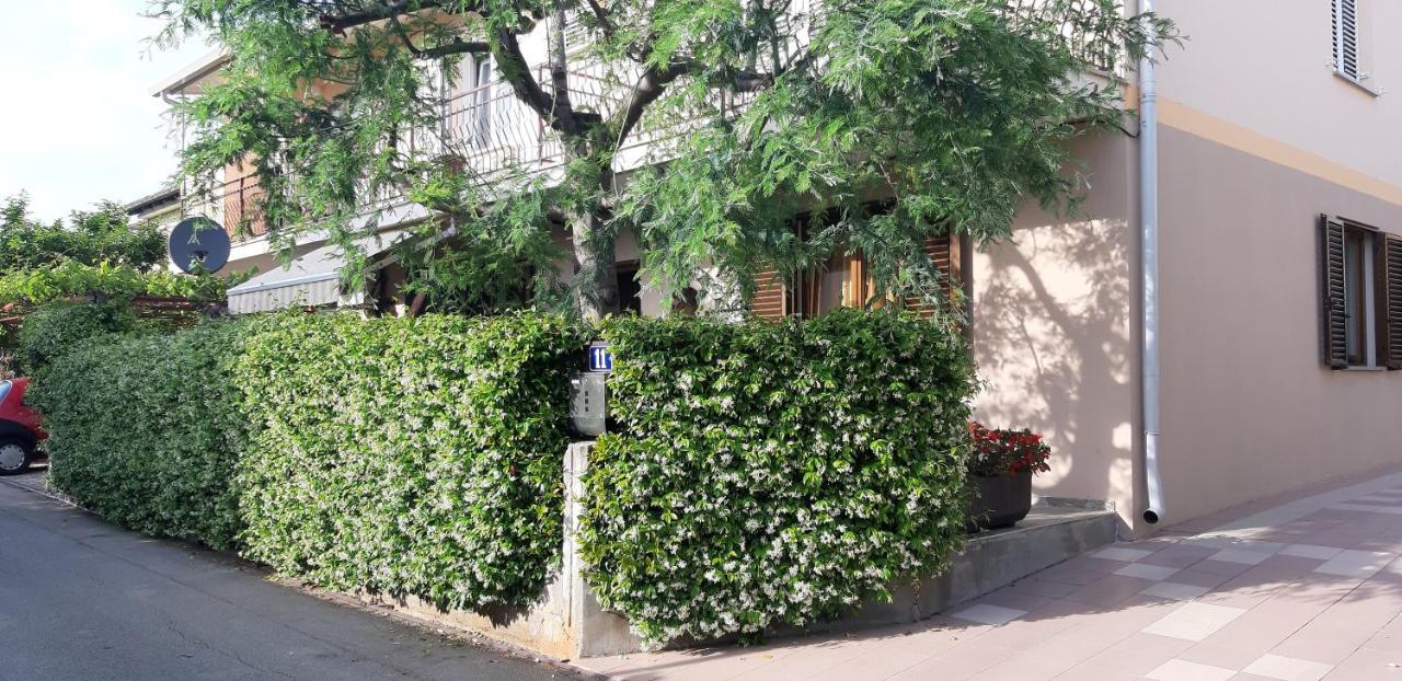 Apartman Oliver Novigrad Istria Buitenkant foto